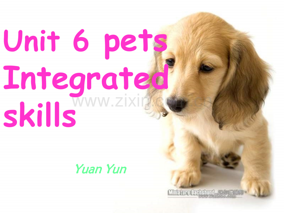 七年级英语上册unit-6-pets-Integrated-skills.pptx_第1页