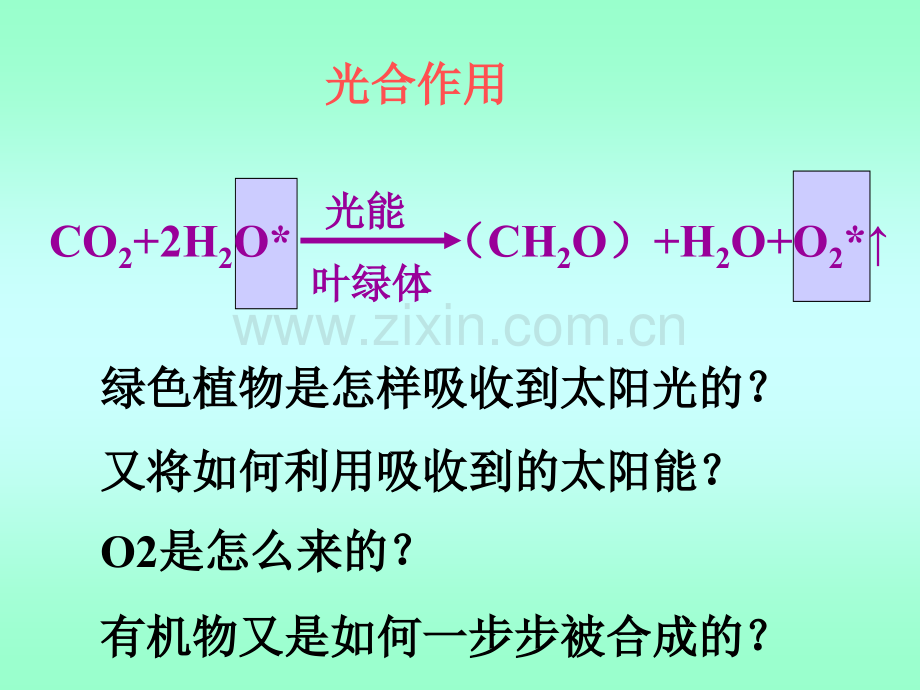 光合作用过程反应式比较表.pptx_第2页