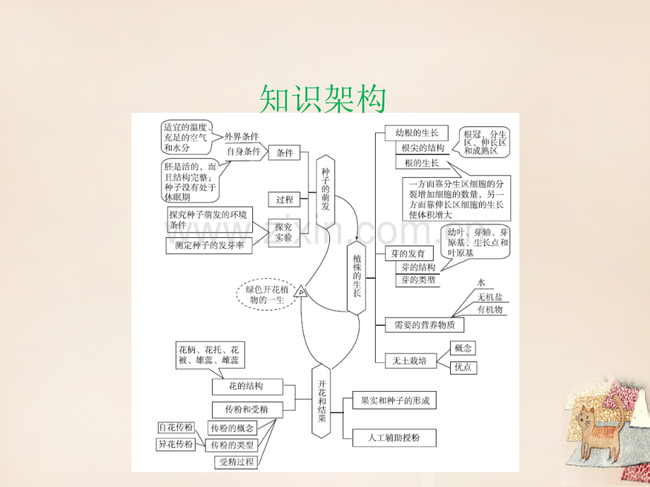 云南专用中考生物总复习生物圈中的绿要点.pptx_第2页