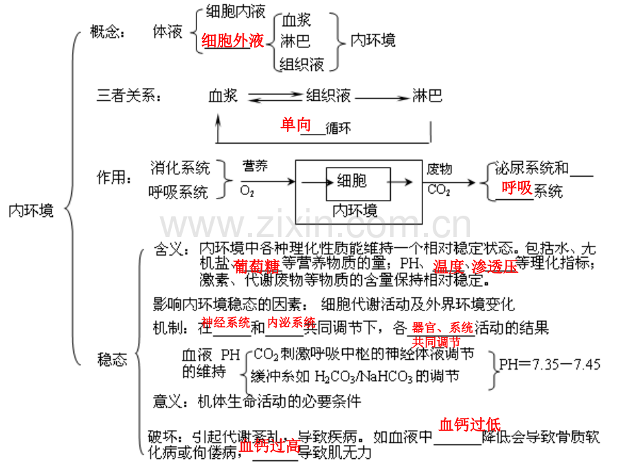 人教版教学内环境与稳态中各知识点复习.pptx_第2页