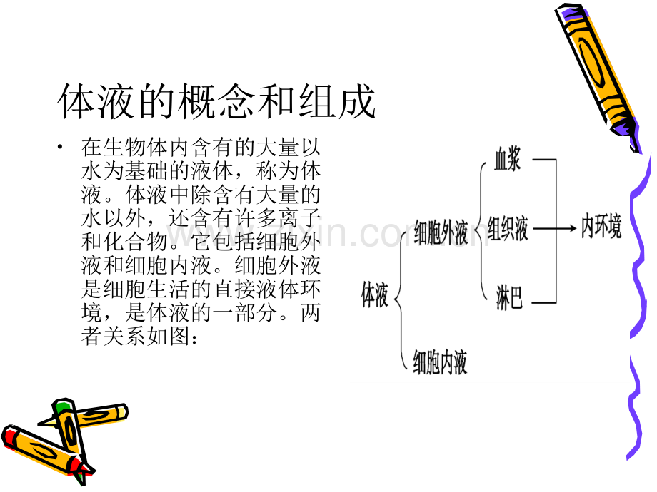 人教版教学内环境与稳态中各知识点复习.pptx_第3页