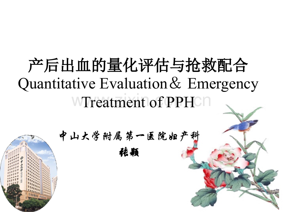 产后出血进修.pptx_第3页