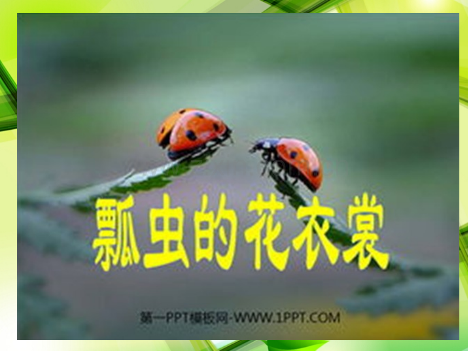 一年级瓢虫的花衣裳.pptx_第3页