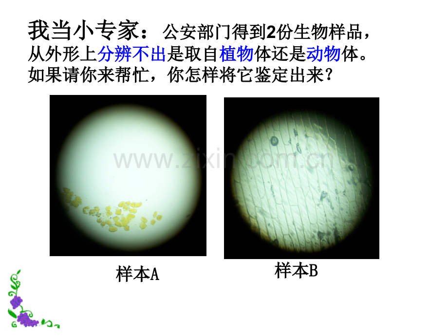 人教版初一七年级上册生物动物细胞课件.pptx_第2页