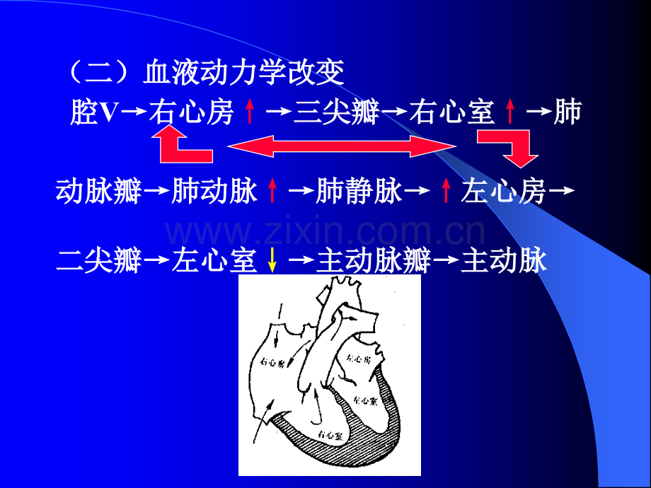 先天性心脏病x诊断.pptx_第3页