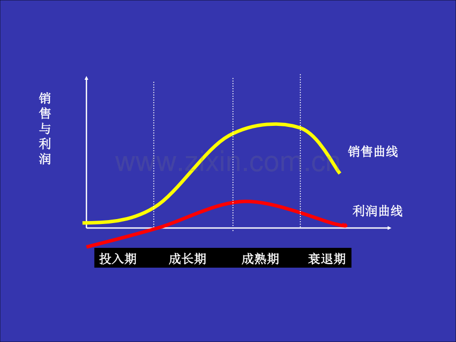 产品生命周期和产品决策.pptx_第3页