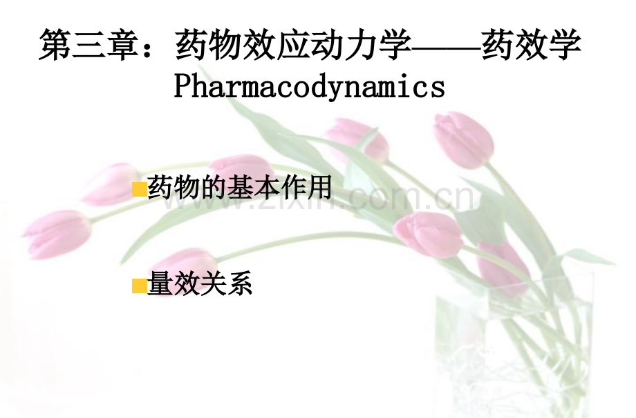 53药效学.pptx_第1页