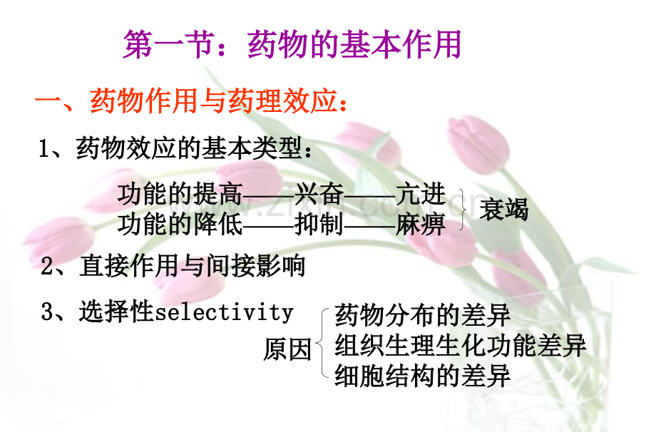 53药效学.pptx_第2页