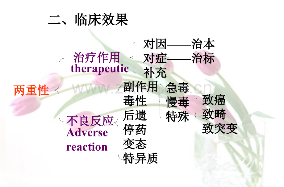 53药效学.pptx_第3页