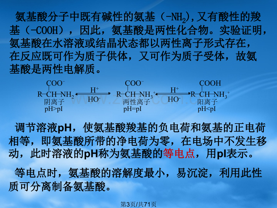 五蛋白质化学及氨基酸代谢.pptx_第3页