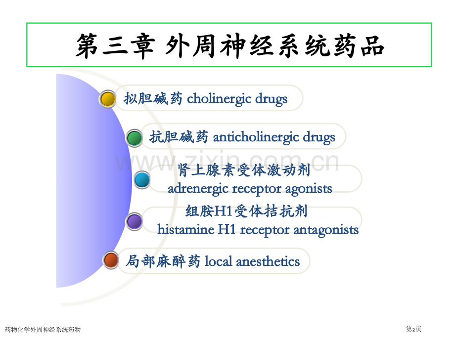 药物化学外周神经系统药物专家讲座.pptx_第2页