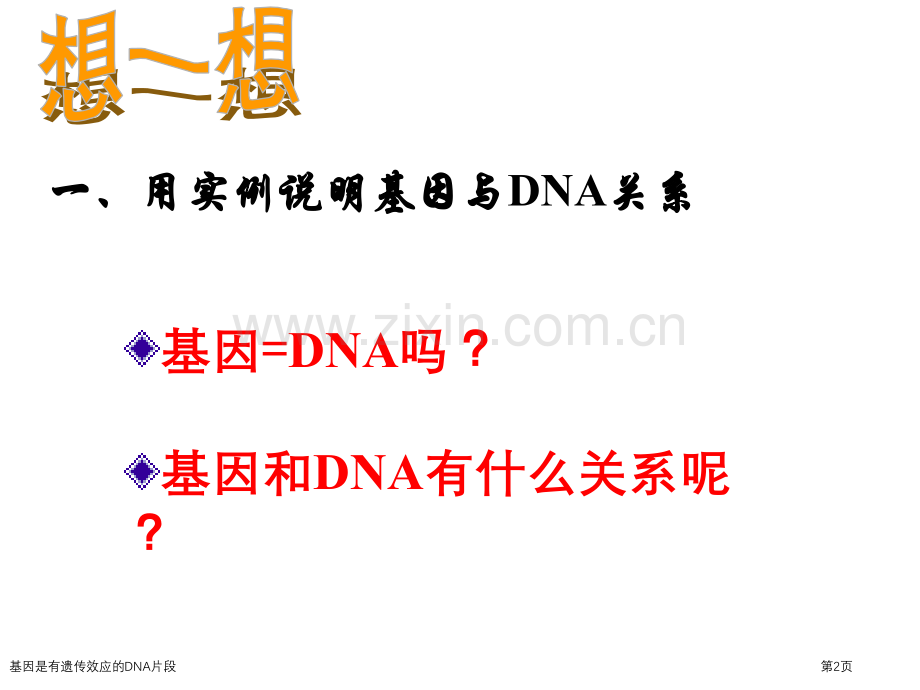 基因是有遗传效应的DNA片段专家讲座.pptx_第2页