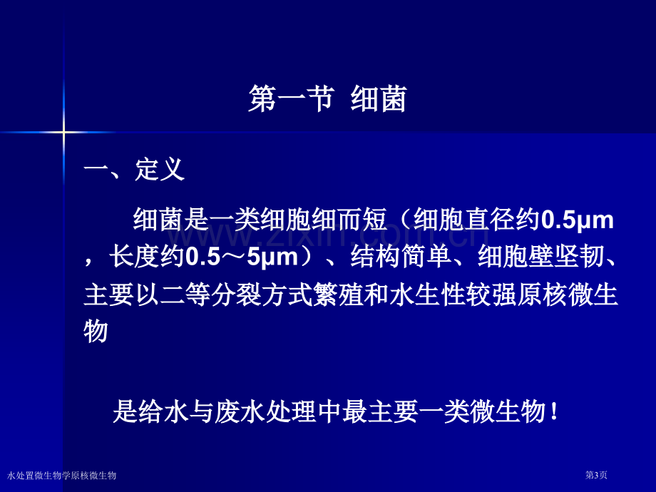 水处置微生物学原核微生物专家讲座.pptx_第3页