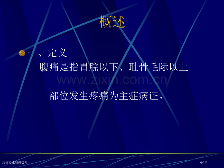 腹痛专业知识培训专家讲座.pptx_第2页