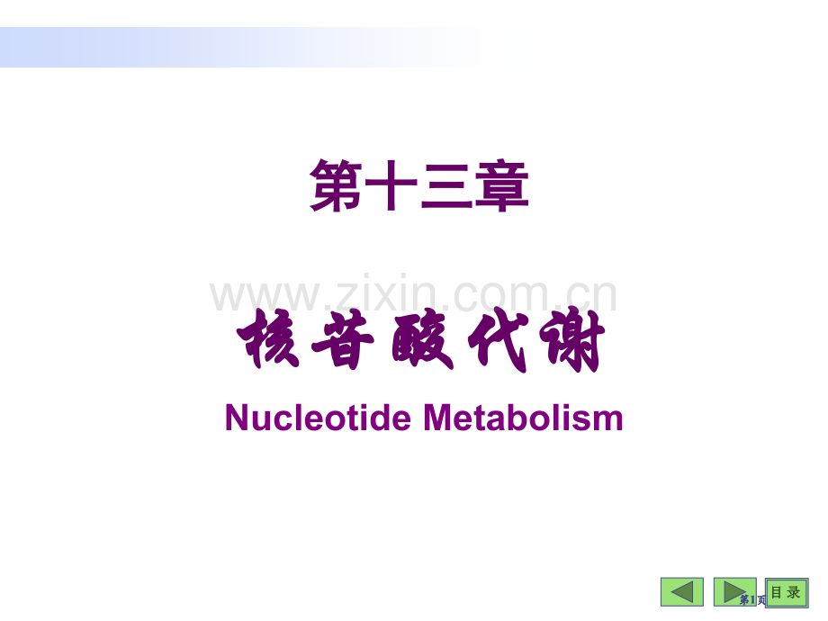 生物化学与分子生物学八课件4市公开课金奖市赛课一等奖课件.pptx_第1页