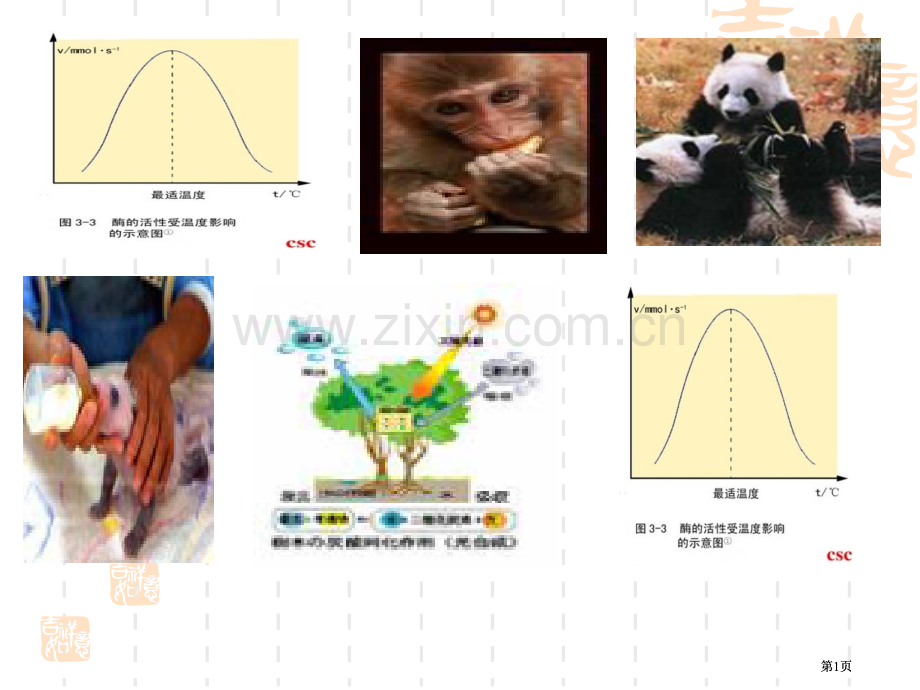 生物体内的化学反应市公开课金奖市赛课一等奖课件.pptx_第1页