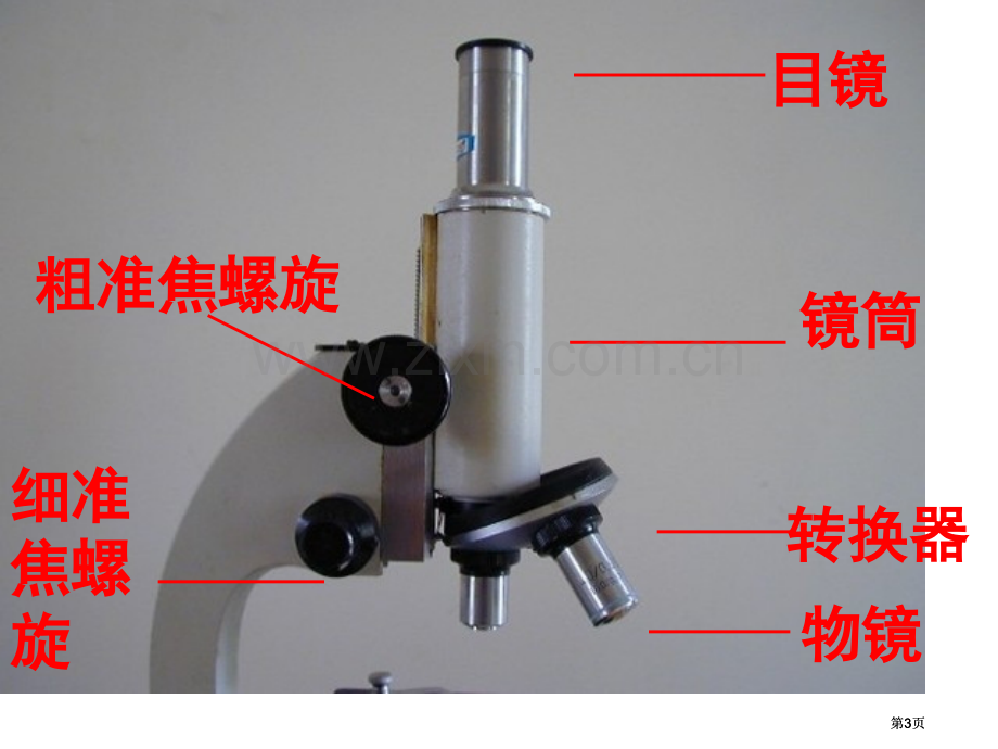 显微镜的使用复习公开课一等奖优质课大赛微课获奖课件.pptx_第3页