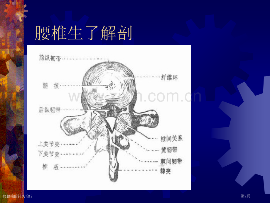 腰腿痛的针灸治疗.pptx_第2页