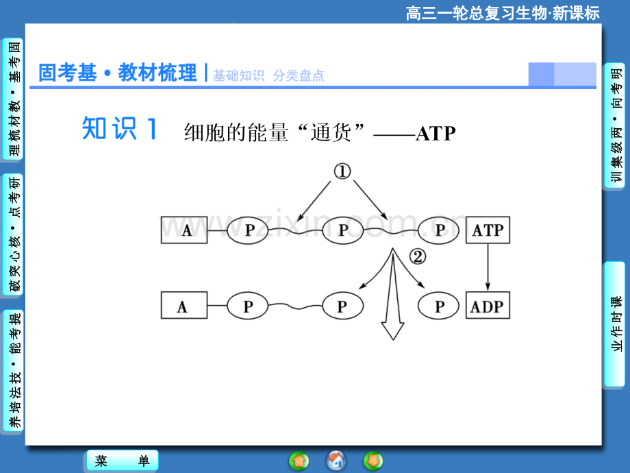 2015课堂新坐标高考生物大一轮复习配套必修1ATP与细胞呼吸.pptx_第3页