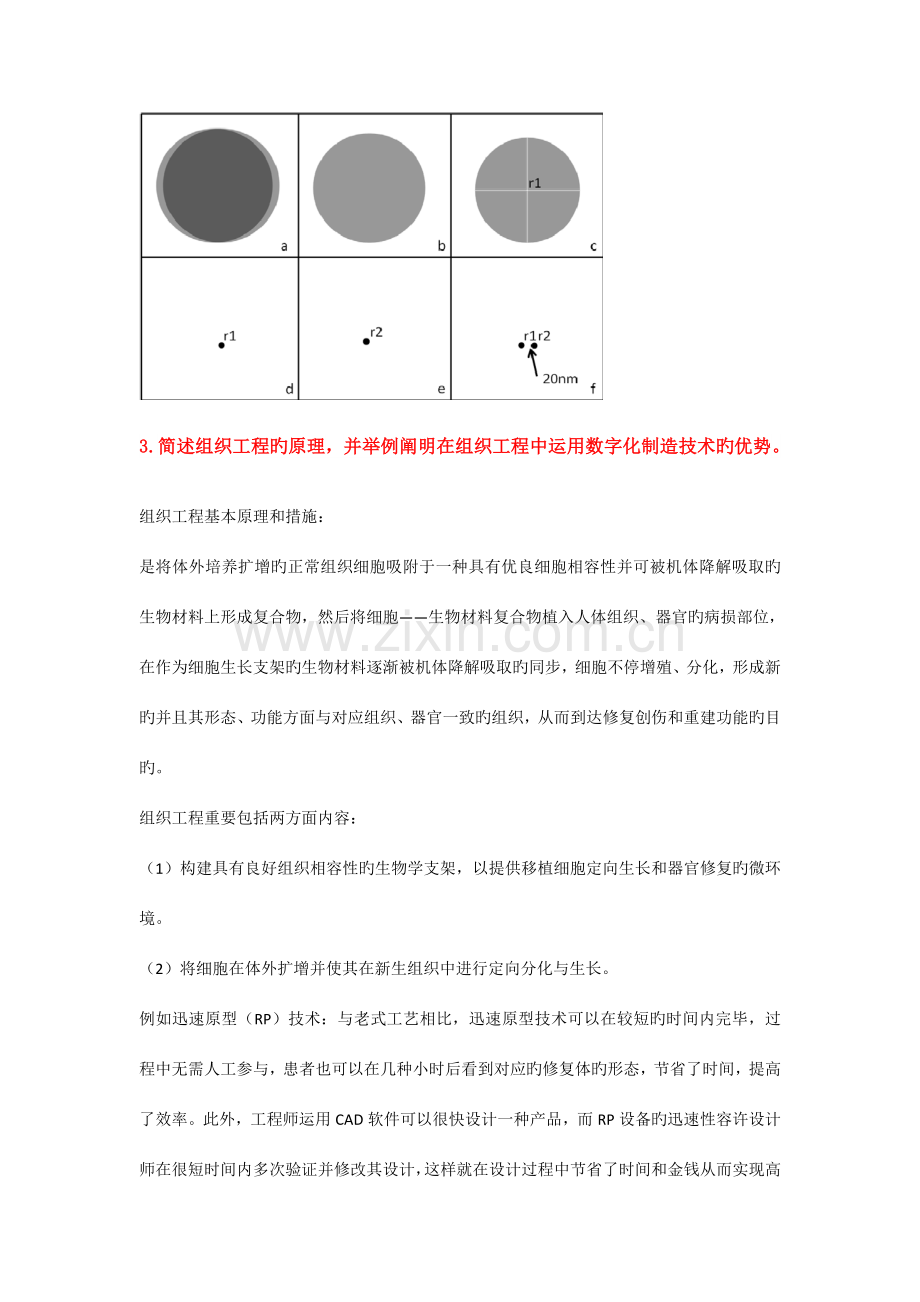 生物医学工程相关试题.docx_第3页