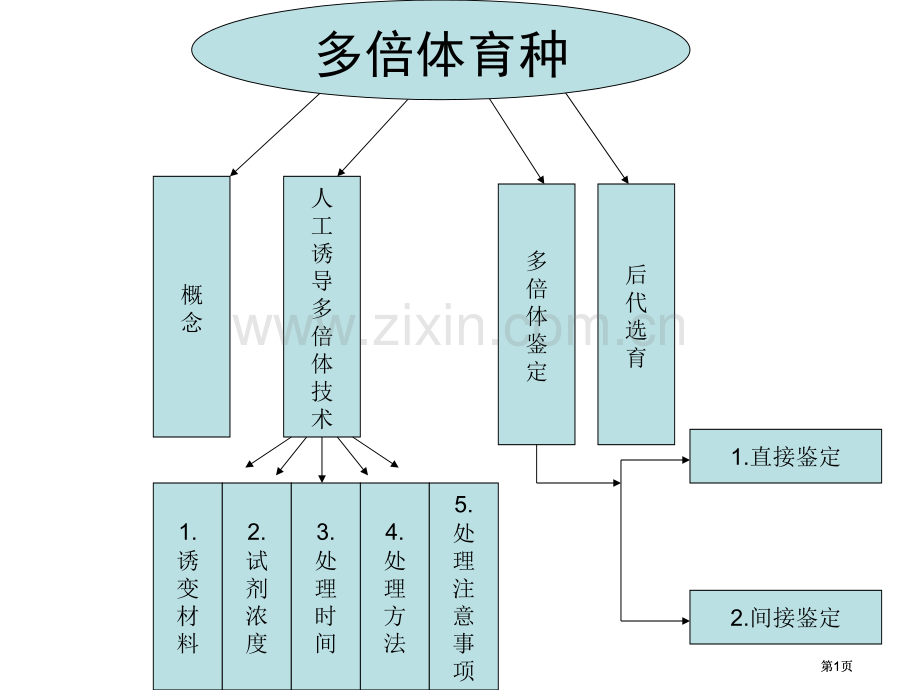 多倍体育种公开课一等奖优质课大赛微课获奖课件.pptx_第1页