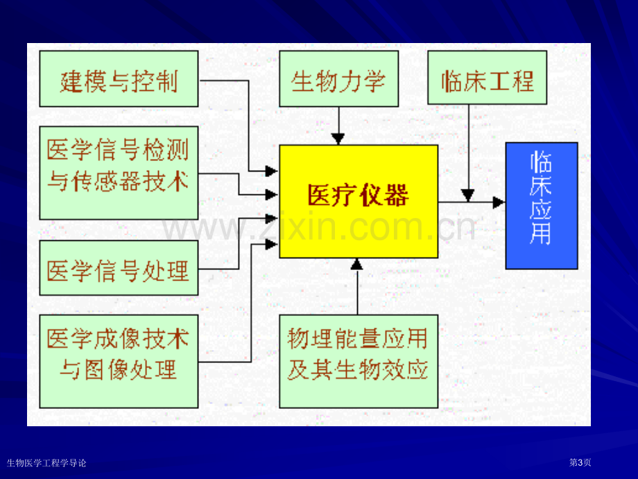 生物医学工程学导论专家讲座.pptx_第3页