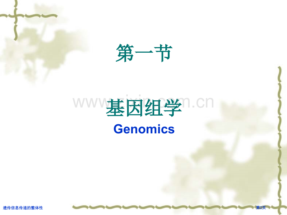 遗传信息传递的整体性专家讲座.pptx_第2页