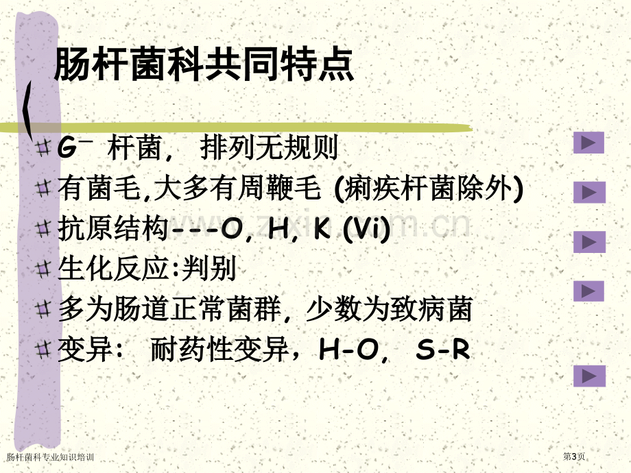 肠杆菌科专业知识培训专家讲座.pptx_第3页