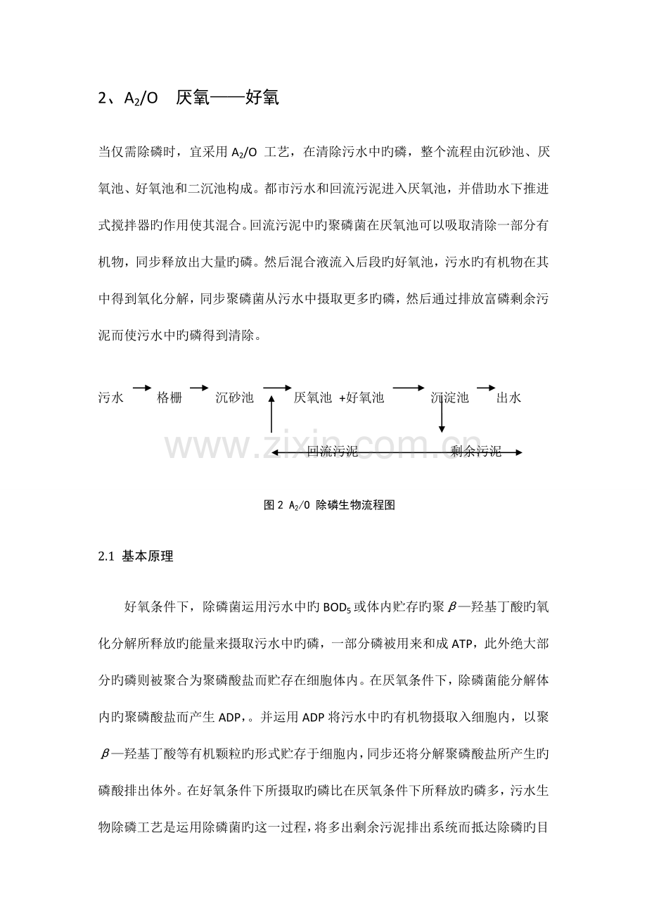 污水处理各工艺原理及特点.doc_第3页