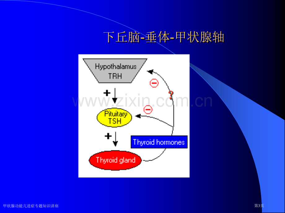 甲状腺功能亢进症专题知识讲座.pptx_第3页