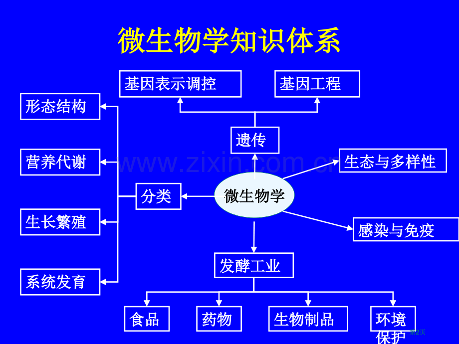 高中生物竞赛辅导微生物学授课公开课一等奖优质课大赛微课获奖课件.pptx_第2页