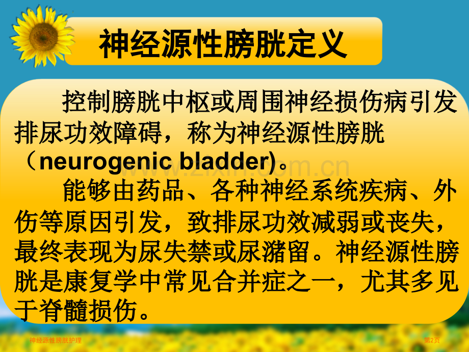 神经源性膀胱护理.pptx_第2页