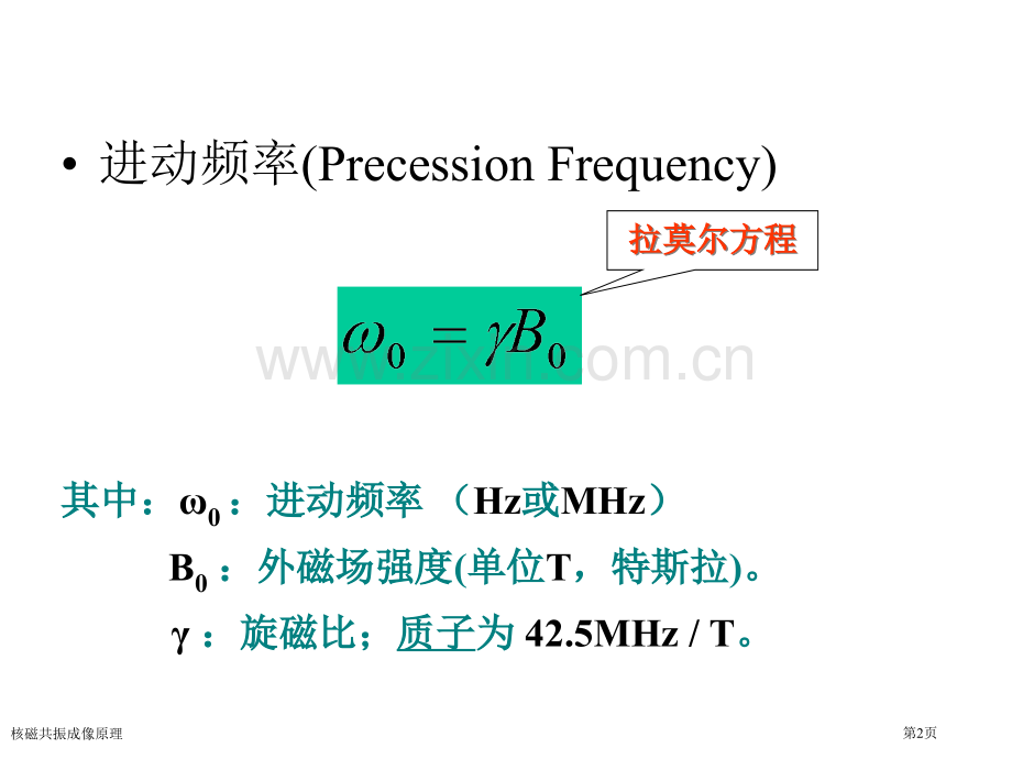 核磁共振成像原理专家讲座.pptx_第2页