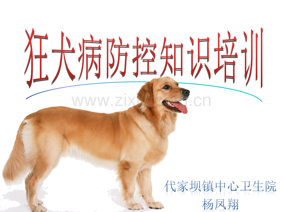 2015狂犬病中小学.pptx_第1页