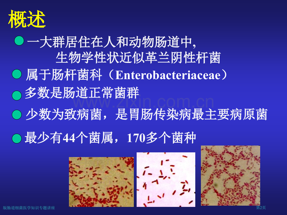 版肠道细菌医学知识专题讲座专家讲座.pptx_第2页