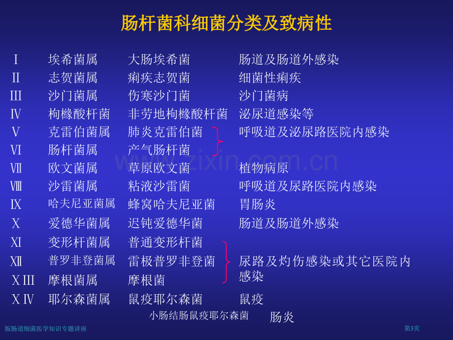 版肠道细菌医学知识专题讲座专家讲座.pptx_第3页