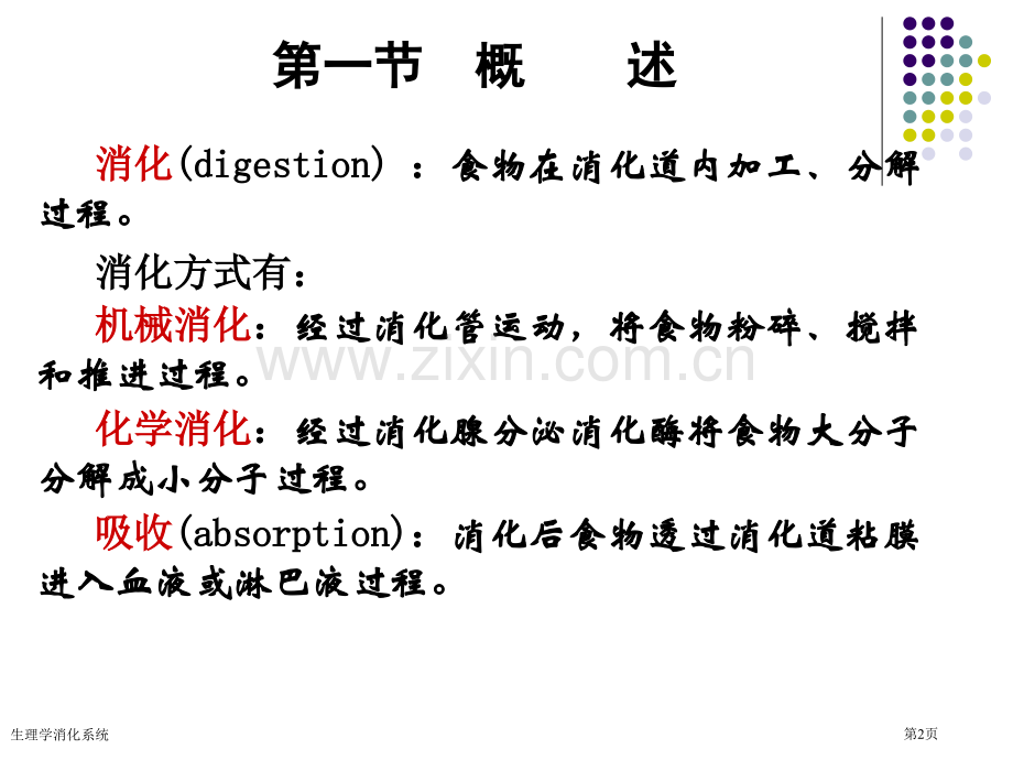 生理学消化系统专家讲座.pptx_第2页