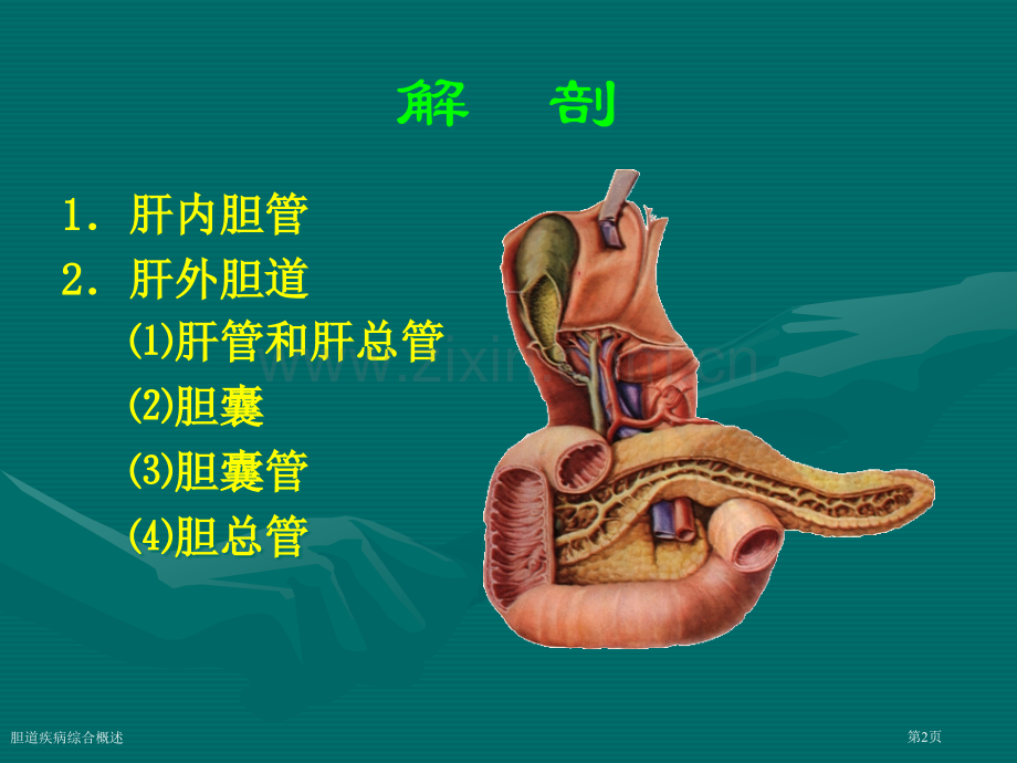 胆道疾病综合概述专家讲座.pptx_第2页