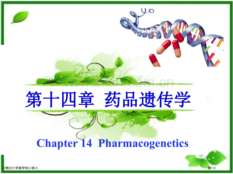 药物遗传学医学知识培训专家讲座.pptx_第1页