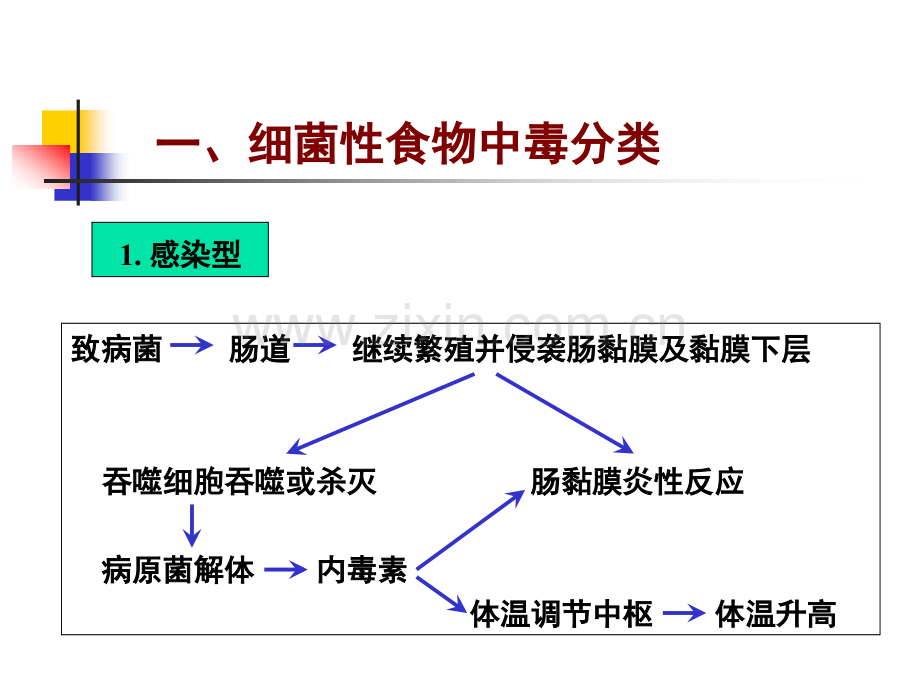 02细菌性食物中毒.pptx_第3页