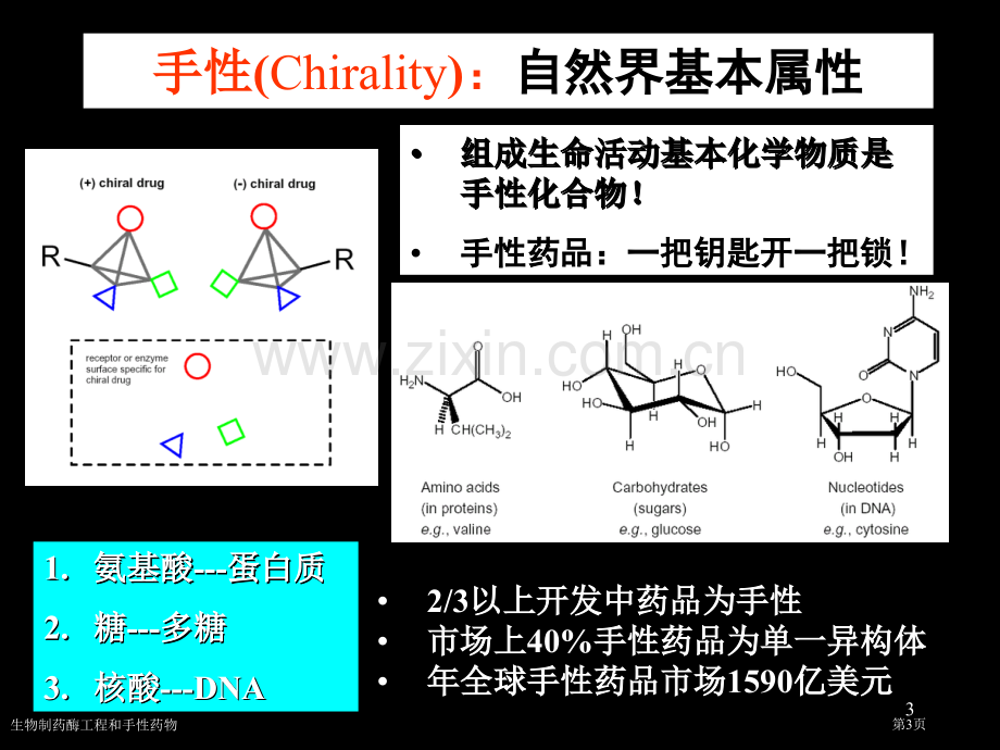 生物制药酶工程和手性药物专家讲座.pptx_第3页