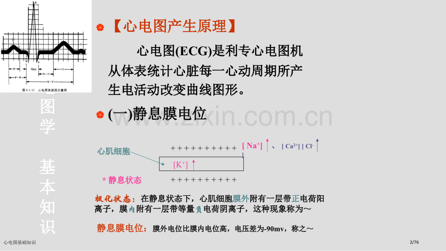 心电图基础知识.pptx_第2页