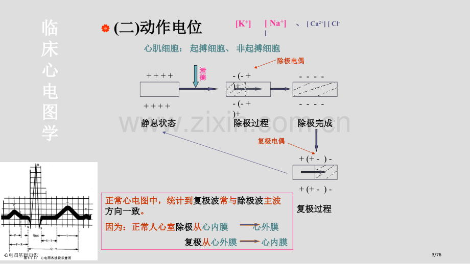 心电图基础知识.pptx_第3页