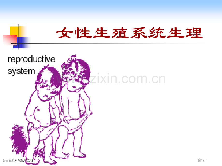 女性生殖系统生理宣贯专家讲座.pptx_第1页