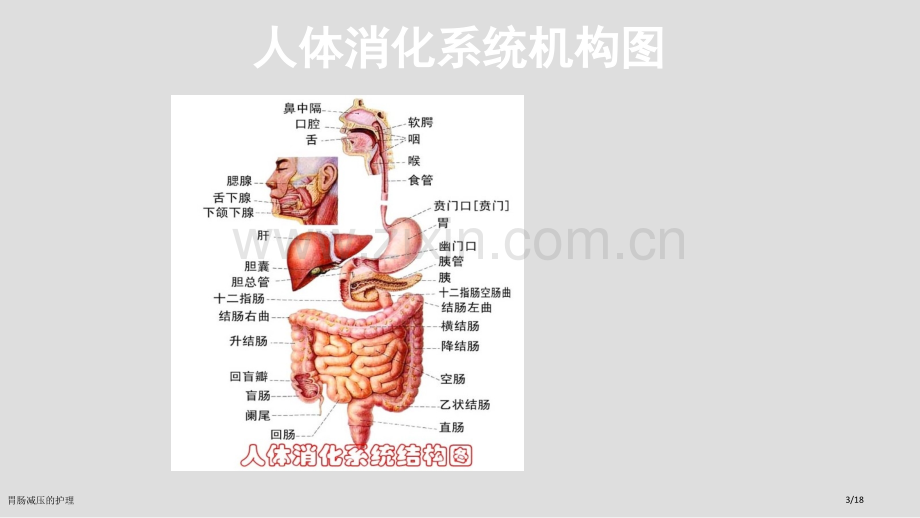 胃肠减压的护理.pptx_第3页