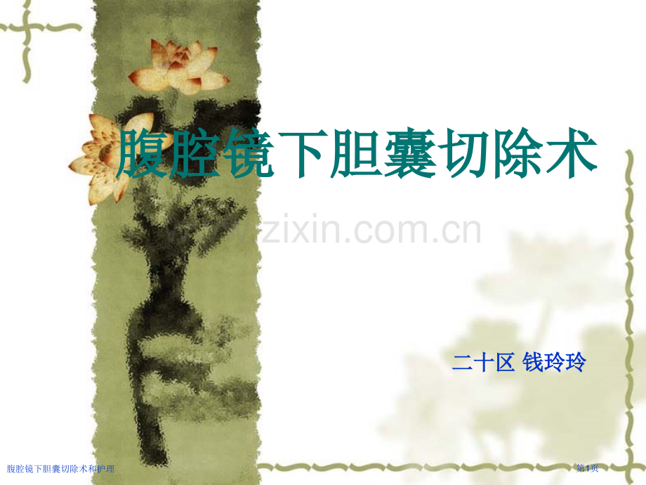 腹腔镜下胆囊切除术和护理专家讲座.pptx_第1页