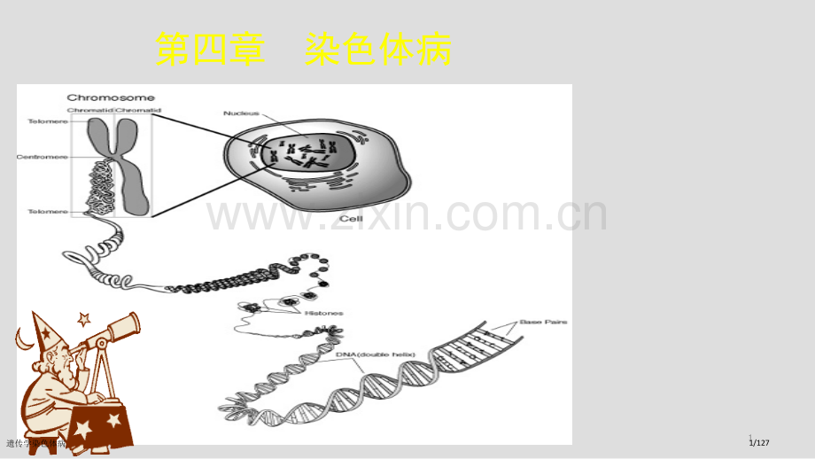 遗传学染色体病.pptx_第1页