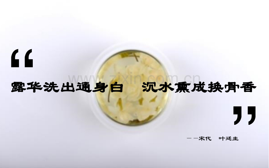 2015茉莉花茶解析.pptx_第2页