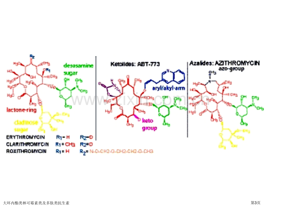 大环内酯类林可霉素类及多肽类抗生素专家讲座.pptx_第3页