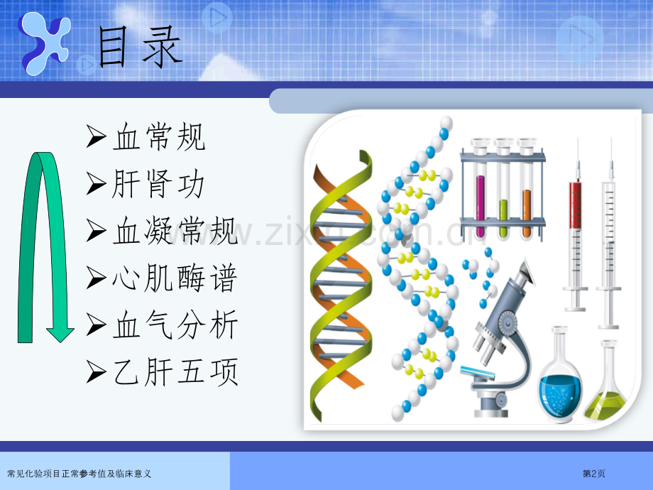 常见化验项目正常参考值及临床意义.pptx_第2页